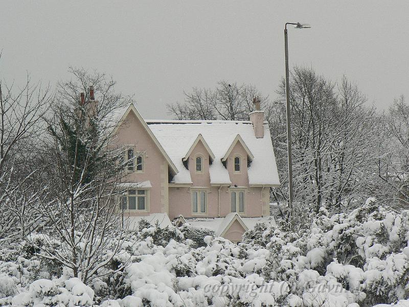 Snow, Blackheath P1070053.JPG